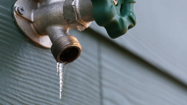 Best Best Plumbers Near Me  in Mcewen, TN