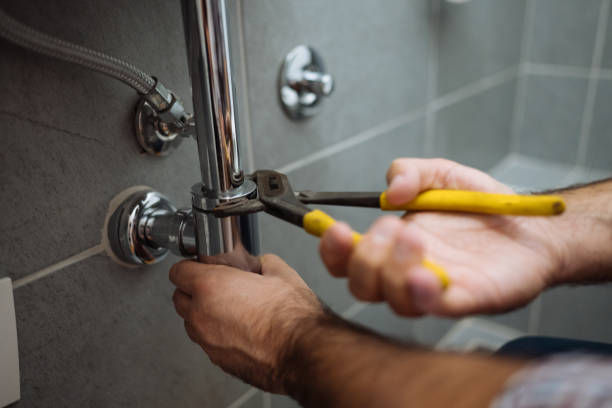 Best Local Plumber Services  in Mcewen, TN